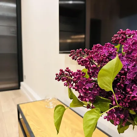 Apartament Freedom In The Heart Of - Balabana Str And Svoboda Avenue *