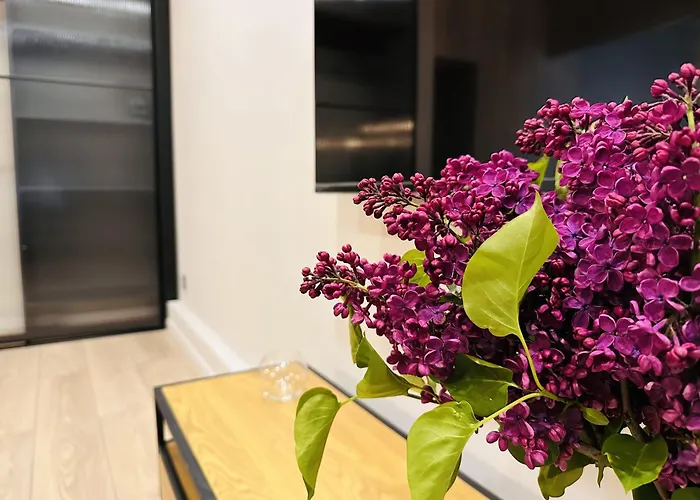 Apartament Freedom In The Heart Of - Balabana Str And Svoboda Avenue *