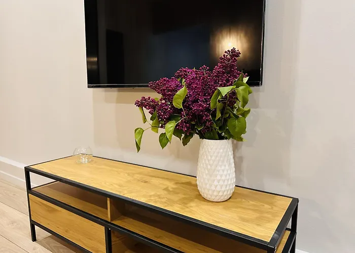 Apartament Freedom In The Heart Of - Balabana Str And Svoboda Avenue Lwów